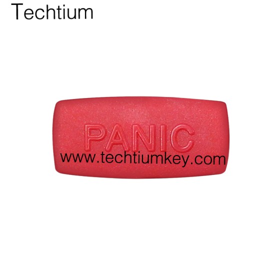 Panic button for Audi