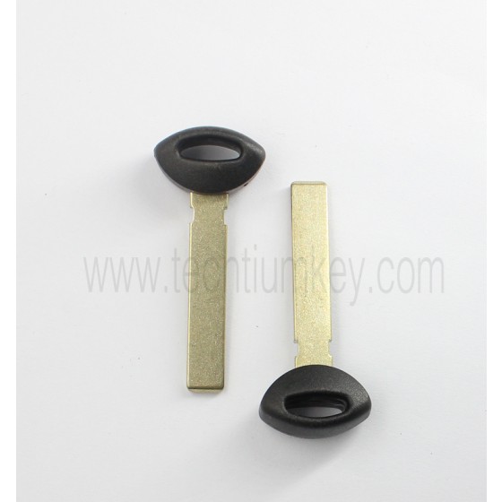 smart key blade for BMW