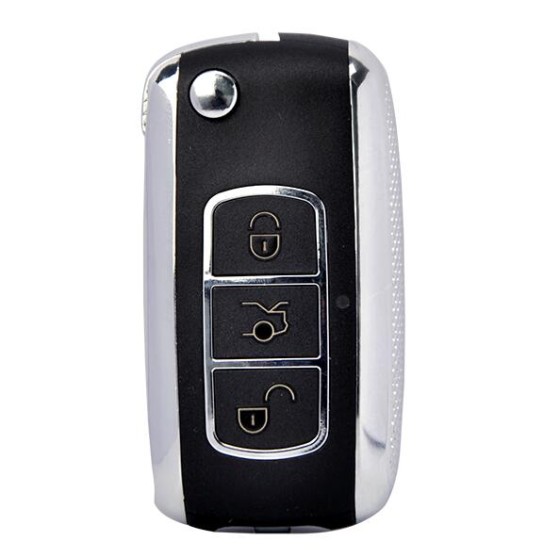 12F519IMS remote key pour Brazil POSITRON