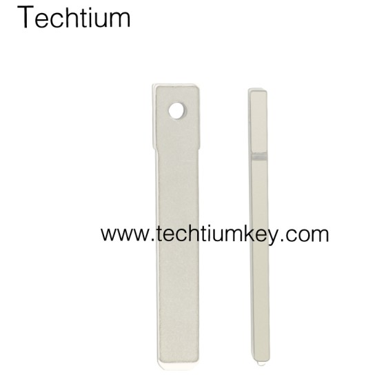 307/VA2 blade 2 button remote key shell for Citroen