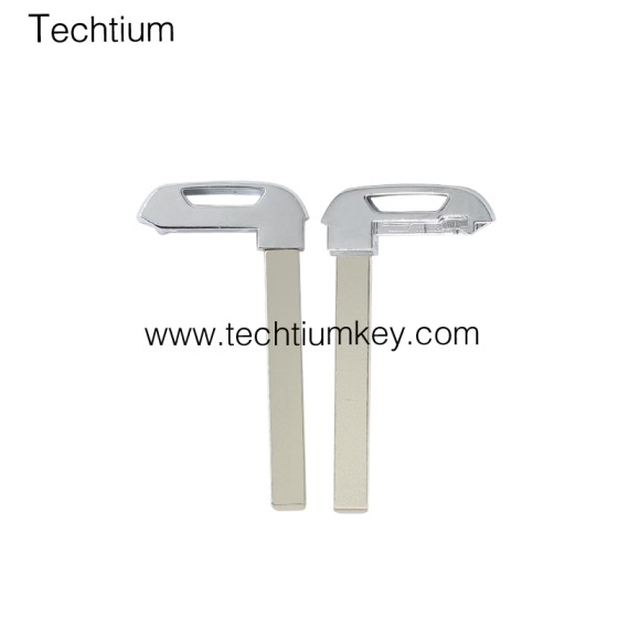 5+1 button remote key shell for Cadillac